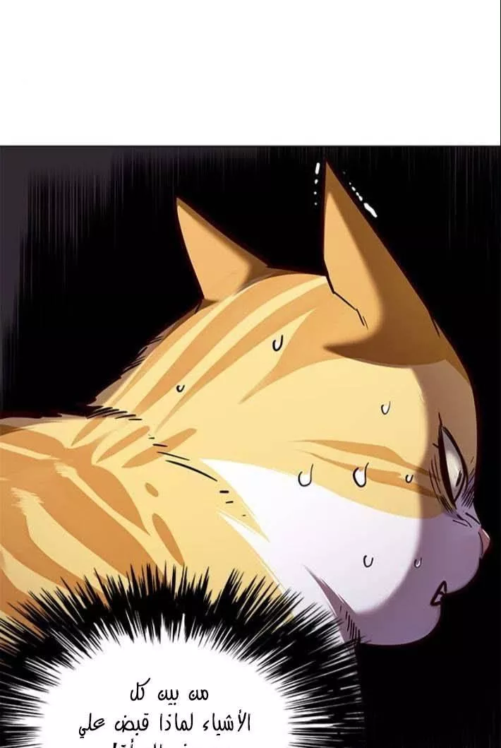 Read Eleceed AR Manga Online