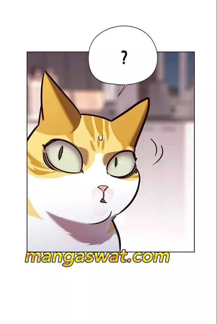 Read Eleceed AR Manga Online