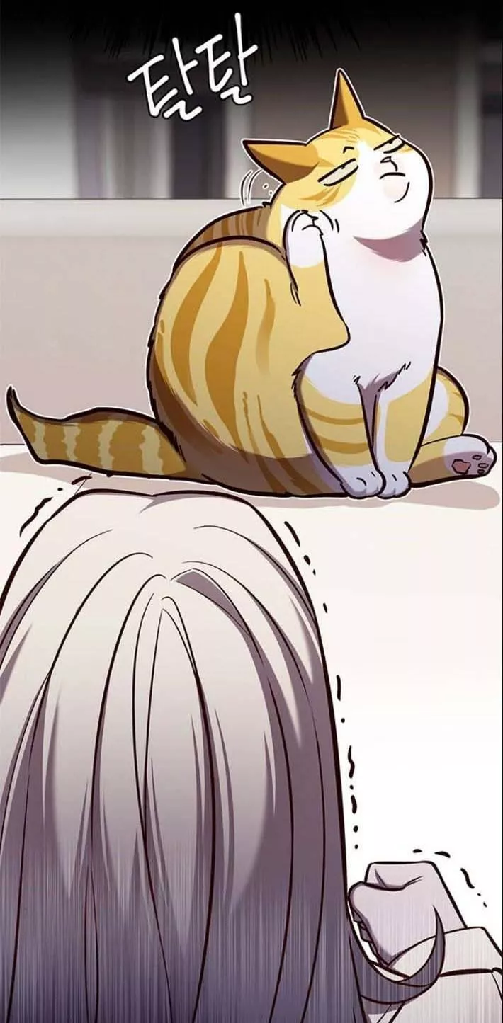 Read Eleceed AR Manga Online