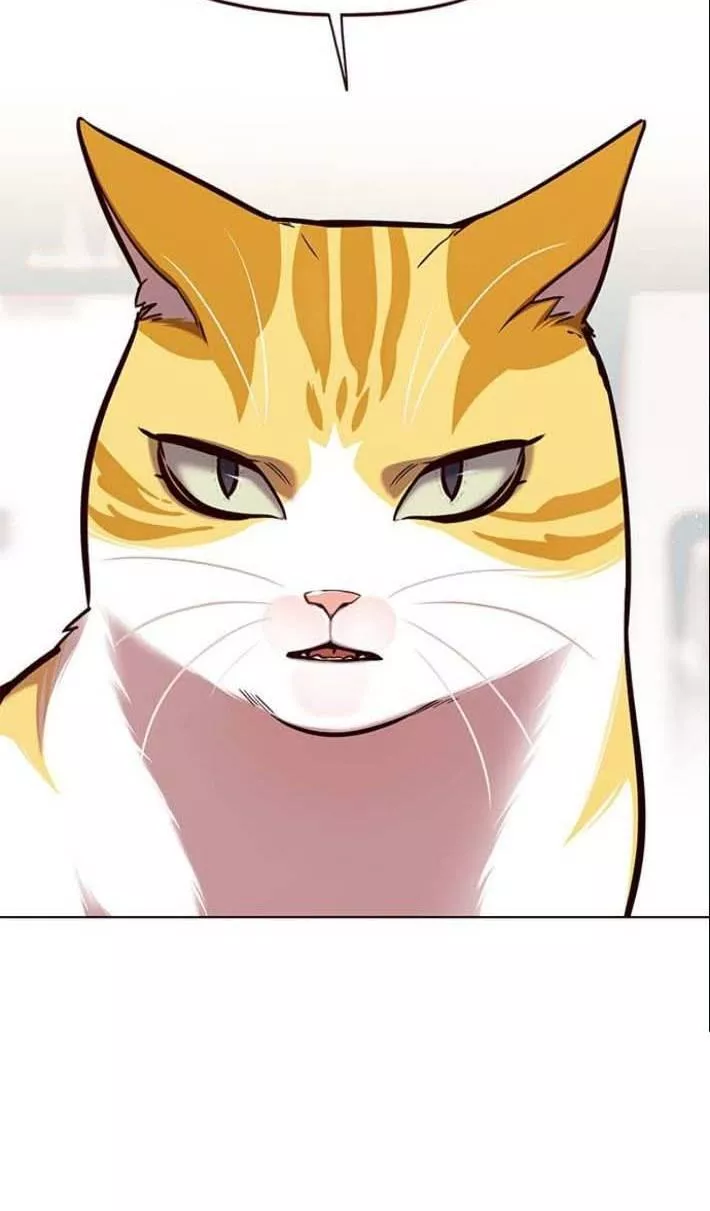 Read Eleceed AR Manga Online