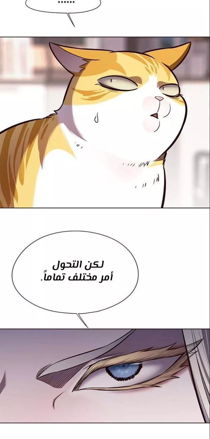 Read Eleceed AR Manga Online