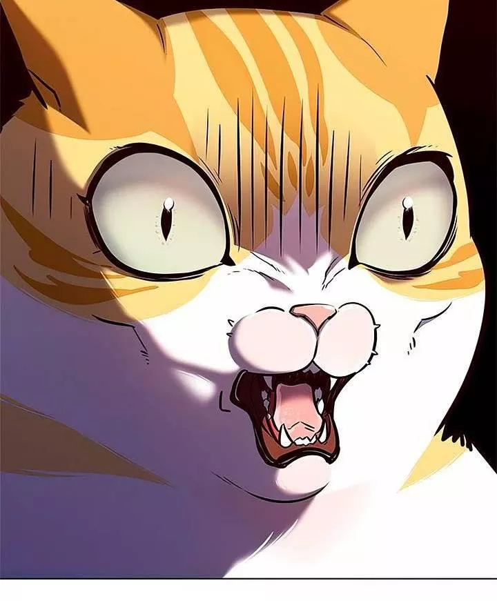 Read Eleceed AR Manga Online