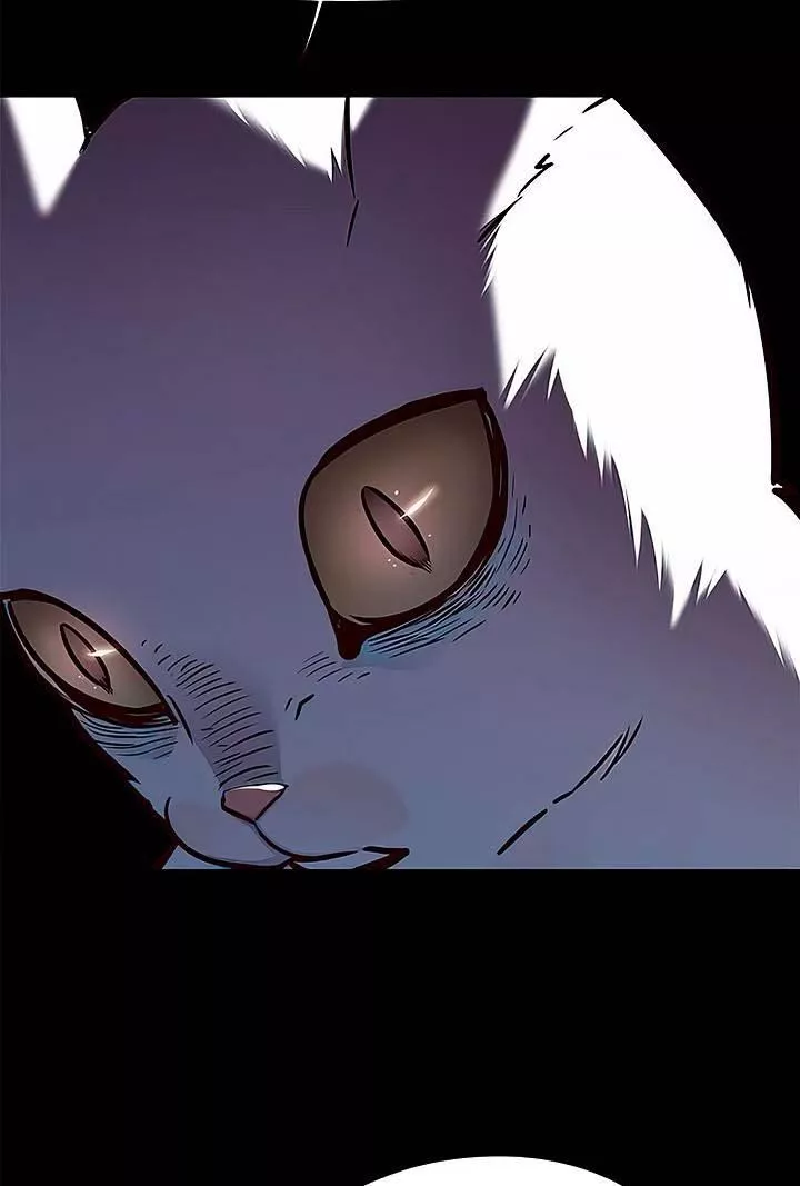 Read Eleceed AR Manga Online