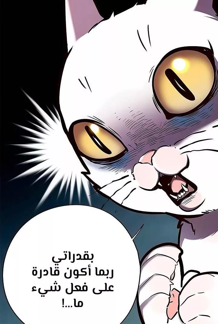 Read Eleceed AR Manga Online