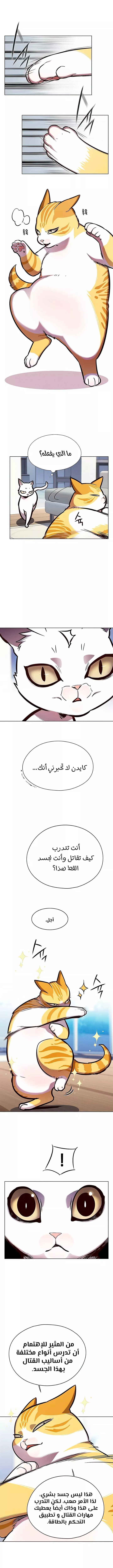 Read Eleceed AR Manga Online