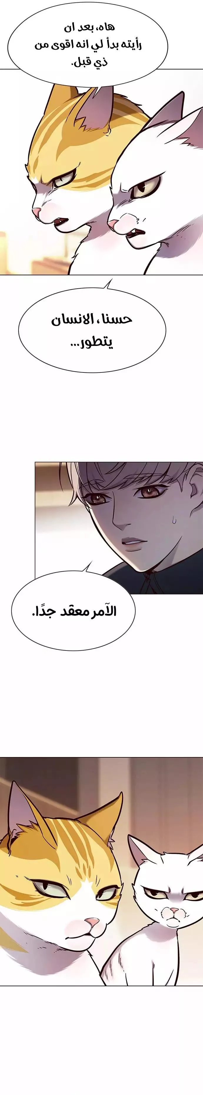 Read Eleceed AR Manga Online