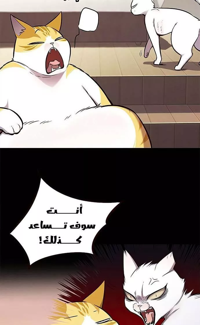 Read Eleceed AR Manga Online