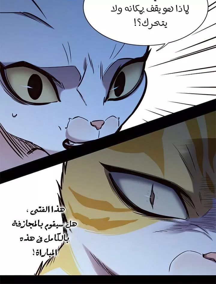 Read Eleceed AR Manga Online