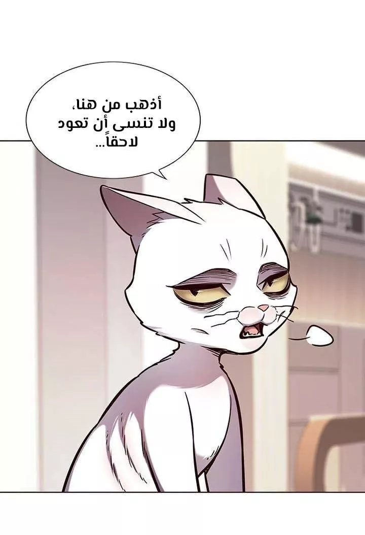 Read Eleceed AR Manga Online