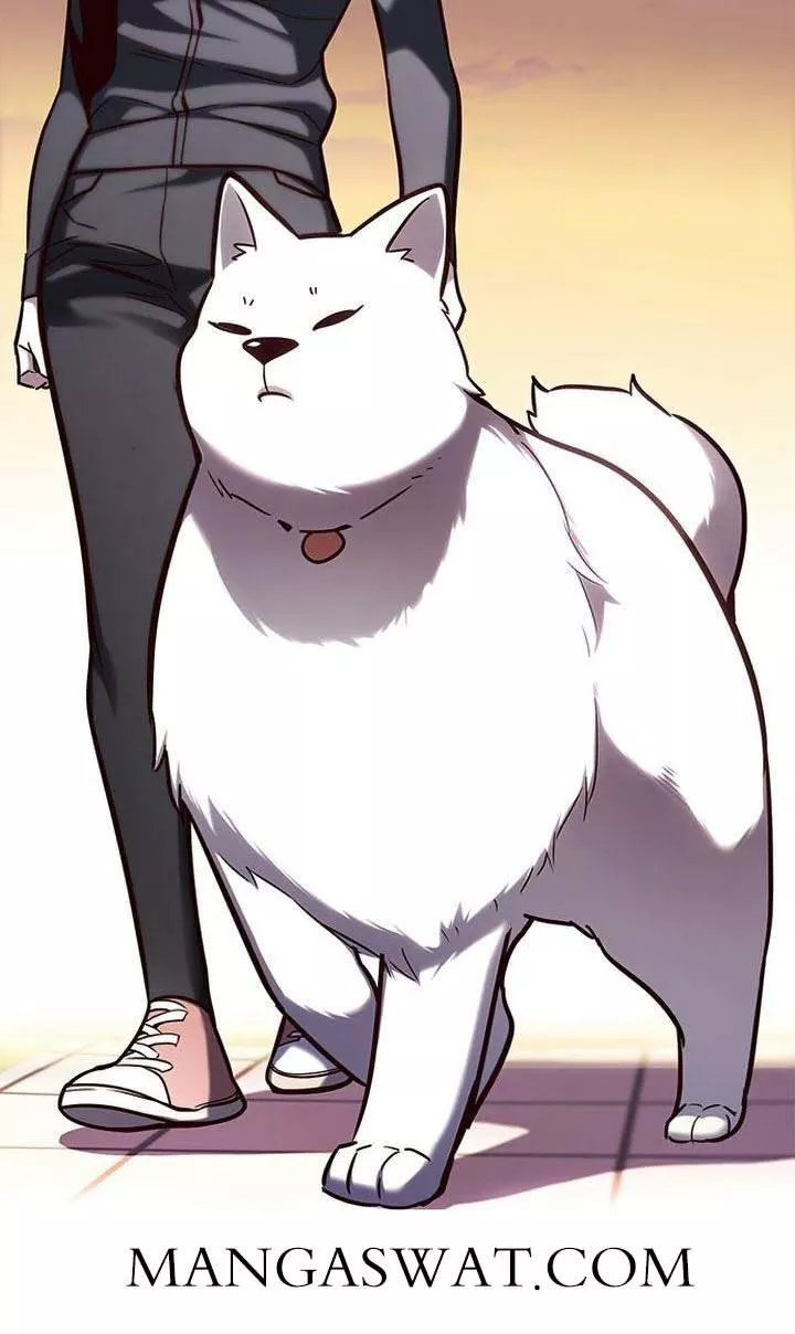 Read Eleceed AR Manga Online