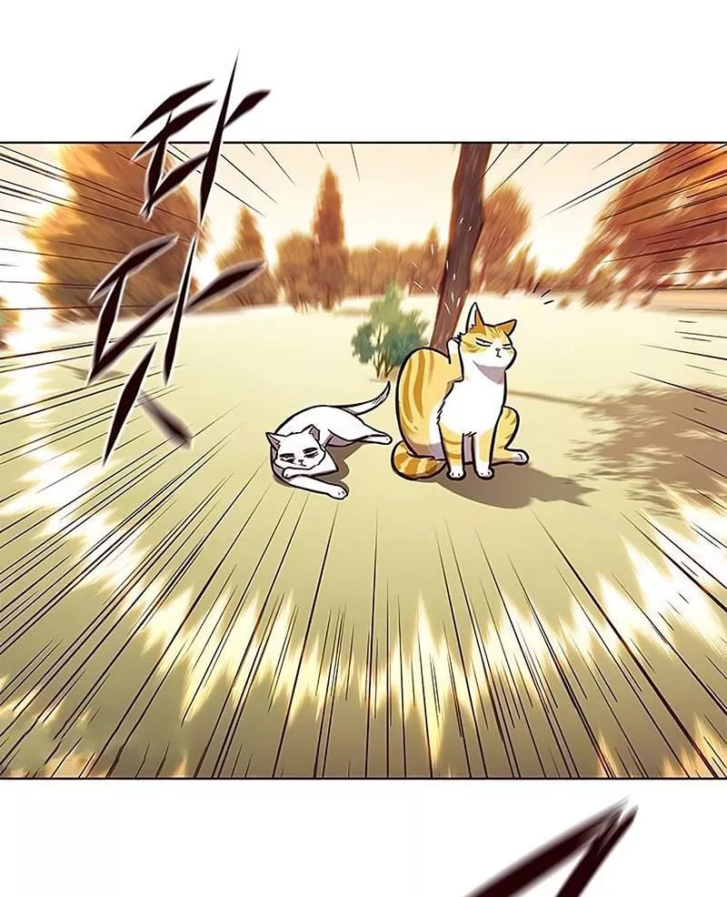 Read Eleceed AR Manga Online