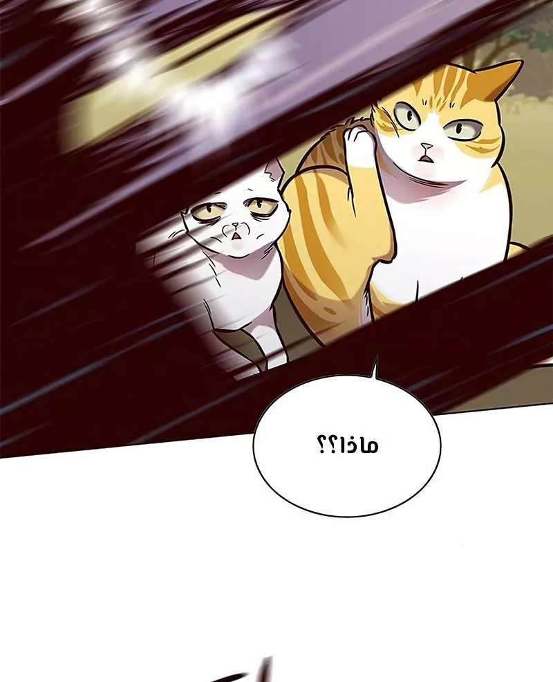 Read Eleceed AR Manga Online