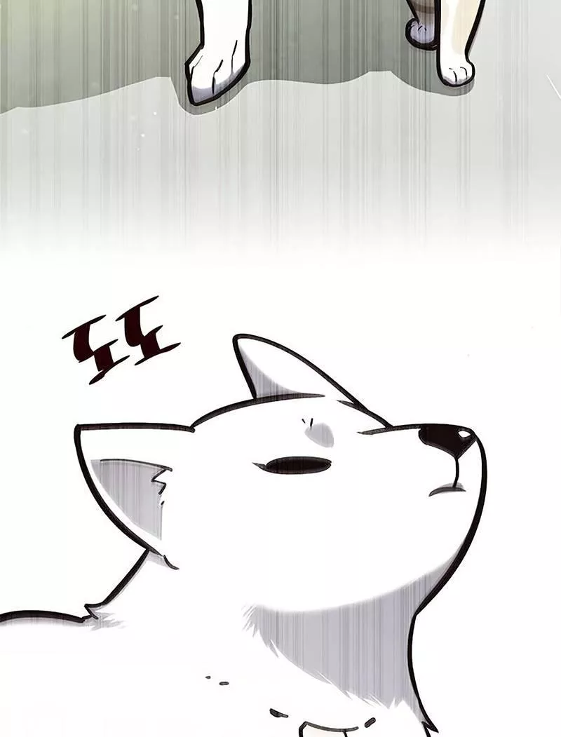 Read Eleceed AR Manga Online