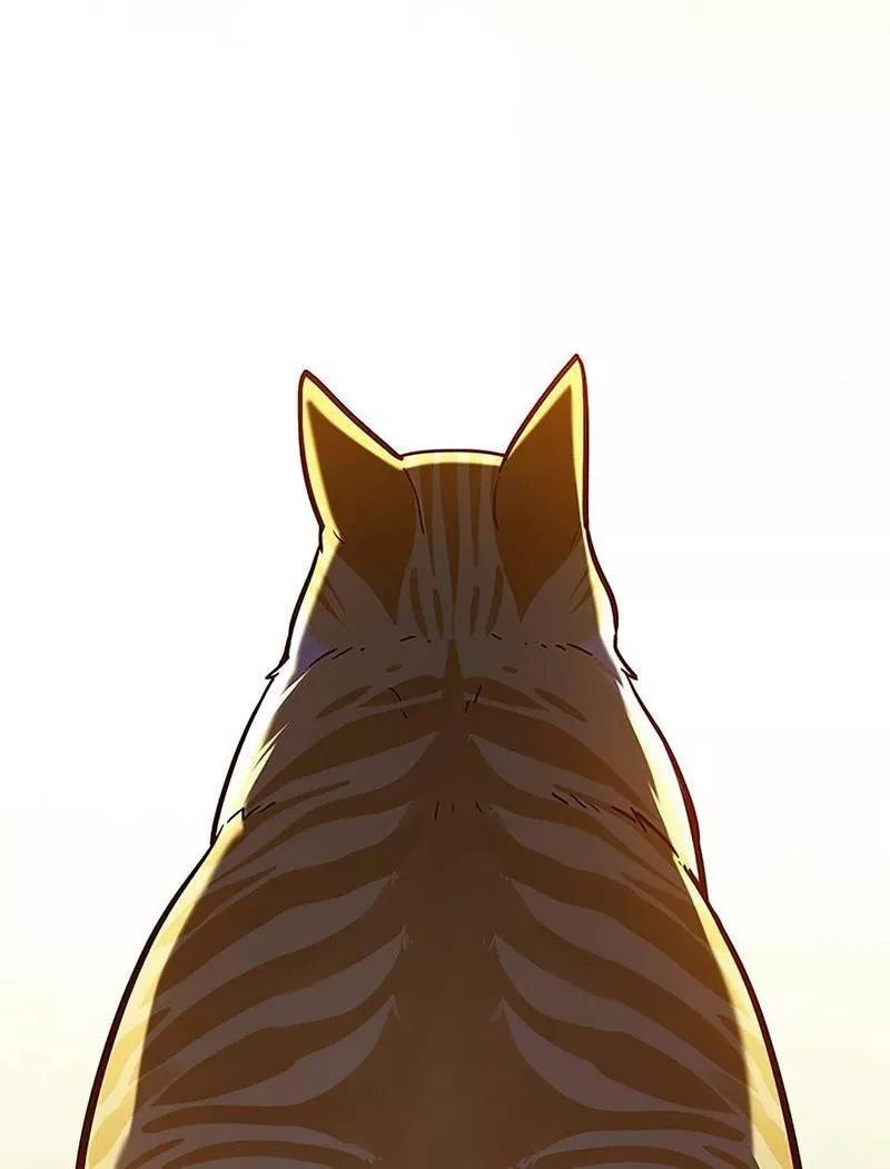 Read Eleceed AR Manga Online