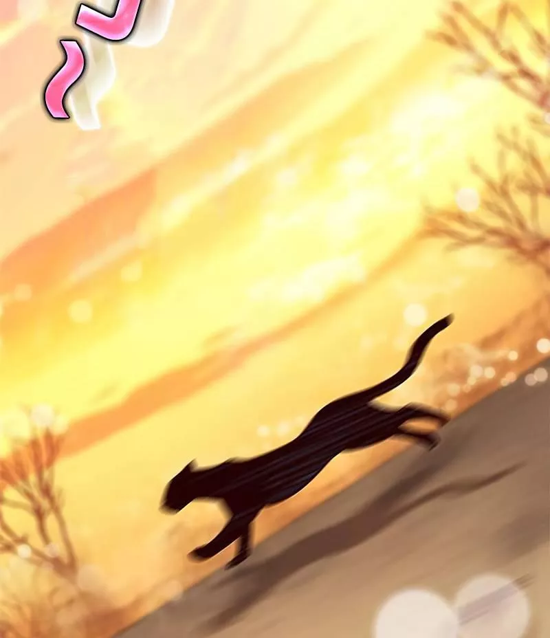 Read Eleceed AR Manga Online