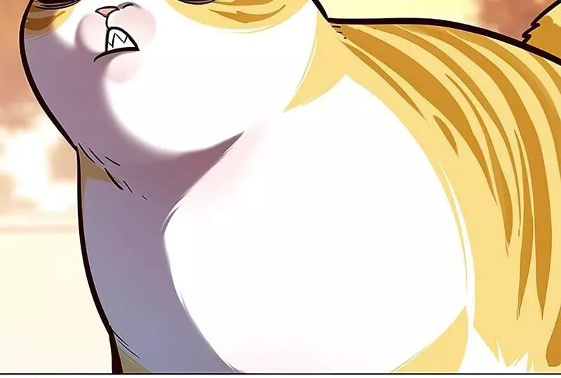 Read Eleceed AR Manga Online