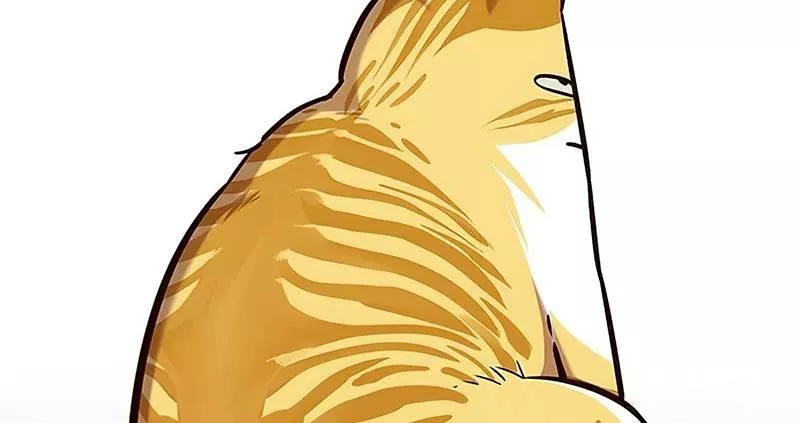 Read Eleceed AR Manga Online