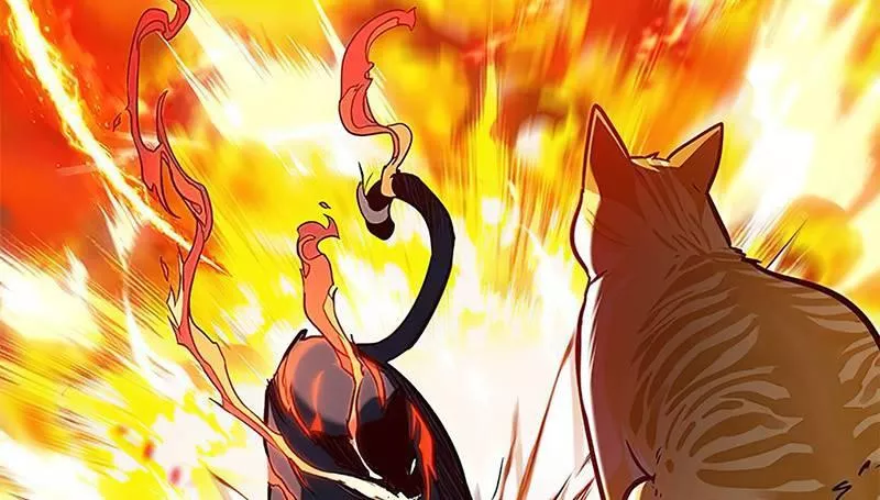 Read Eleceed AR Manga Online