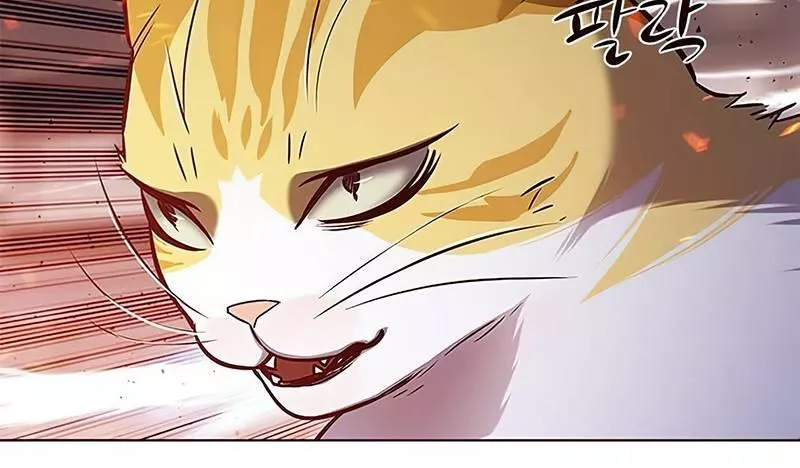 Read Eleceed AR Manga Online