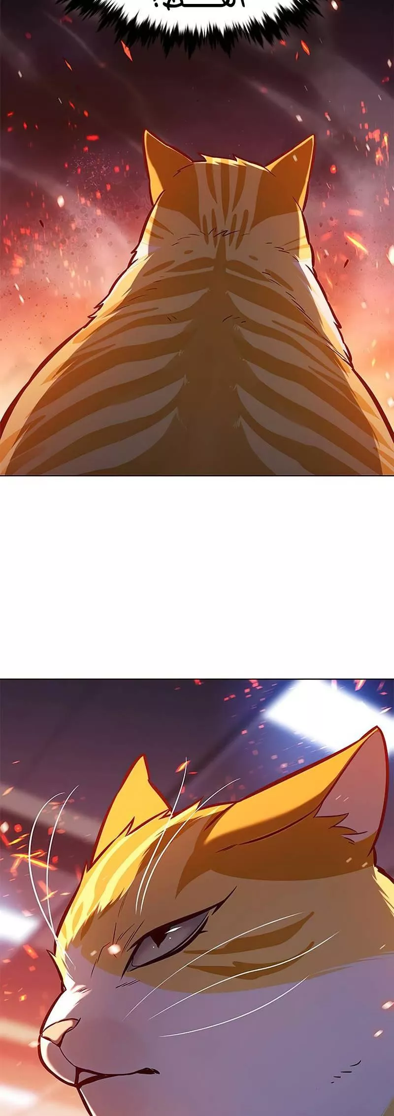 Read Eleceed AR Manga Online