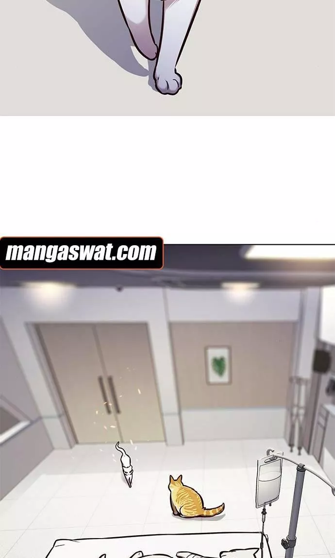 Read Eleceed AR Manga Online