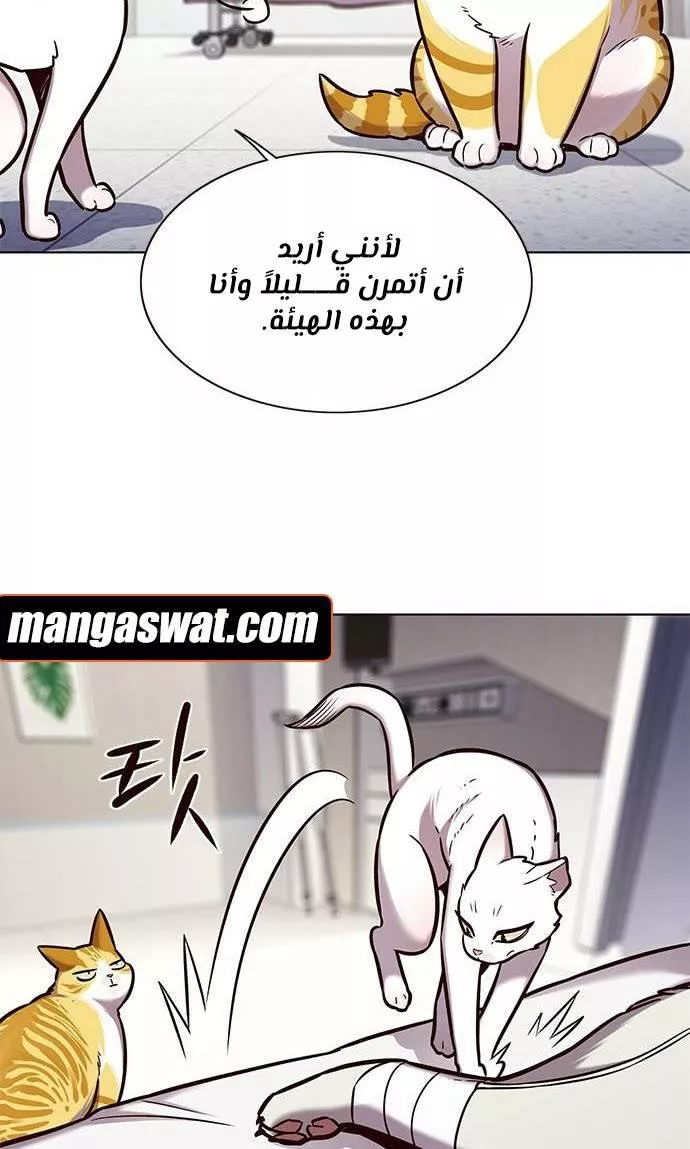 Read Eleceed AR Manga Online