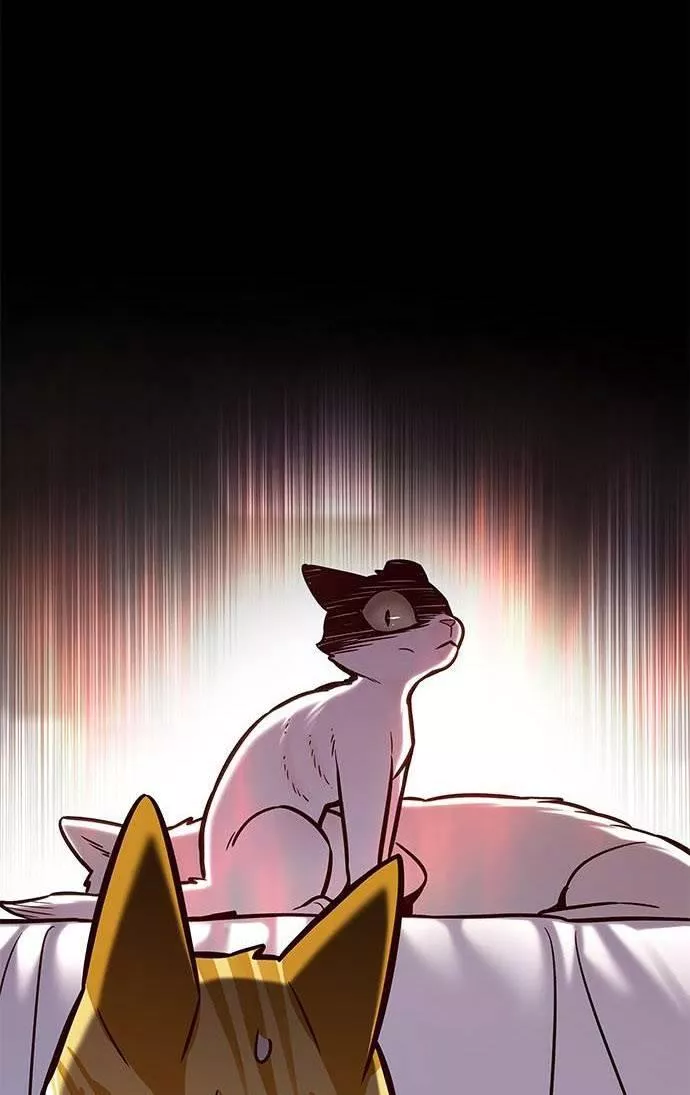 Read Eleceed AR Manga Online