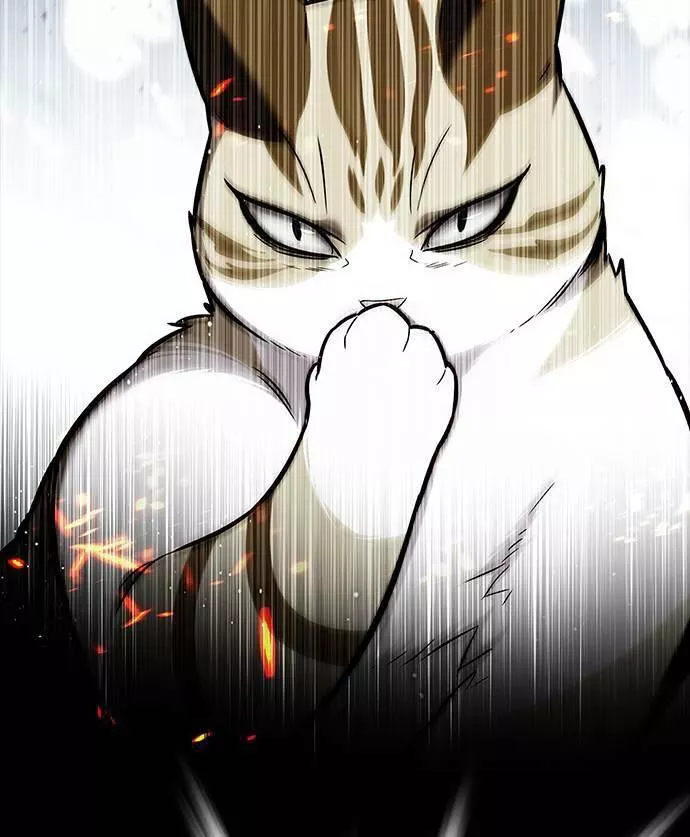 Read Eleceed AR Manga Online