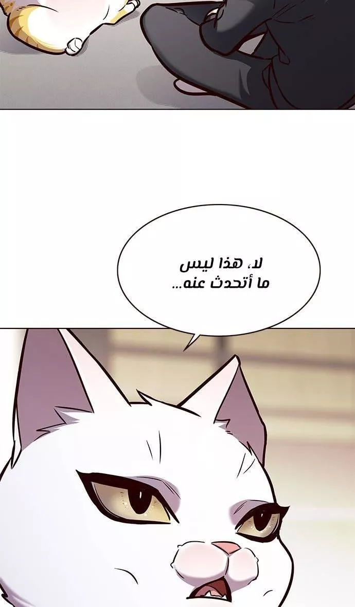 Read Eleceed AR Manga Online