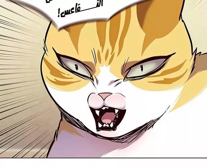 Read Eleceed AR Manga Online