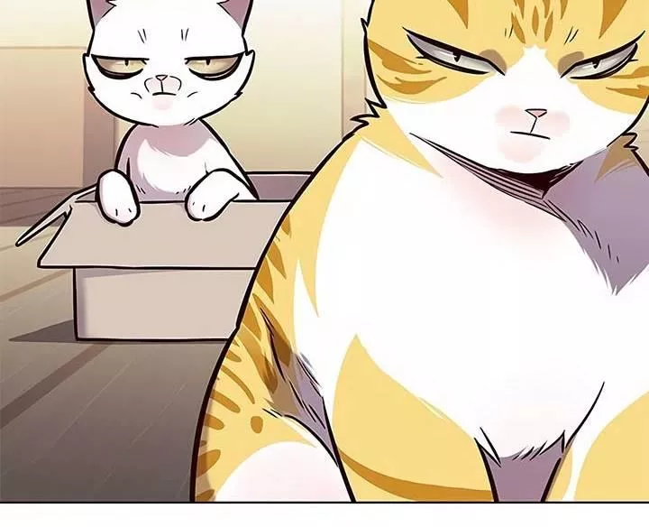 Read Eleceed AR Manga Online