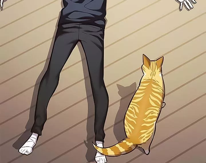 Read Eleceed AR Manga Online