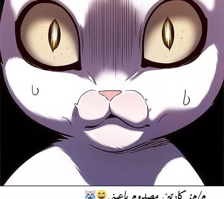 Read Eleceed AR Manga Online