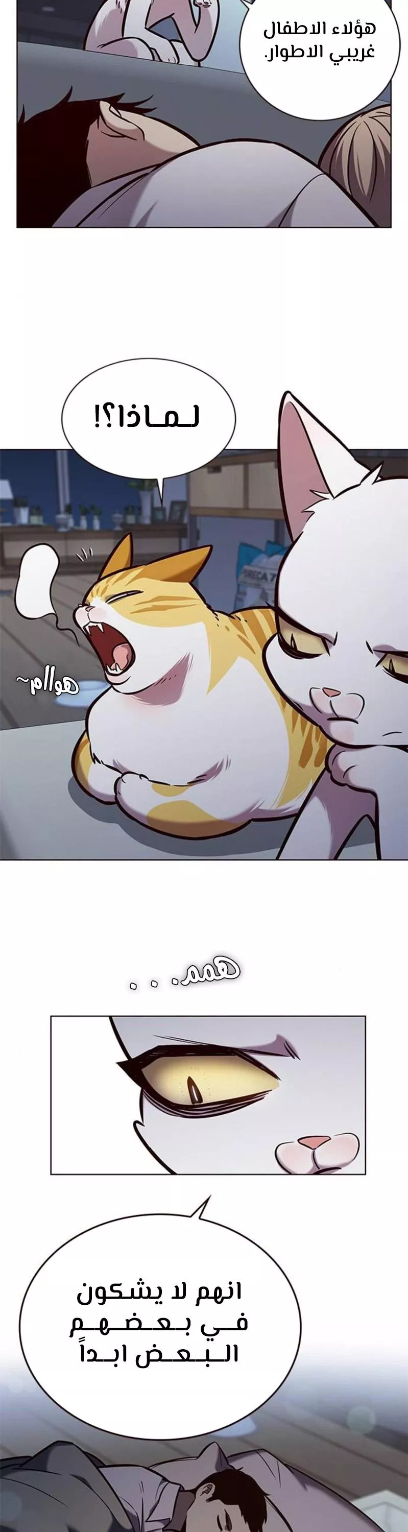 Read Eleceed AR Manga Online