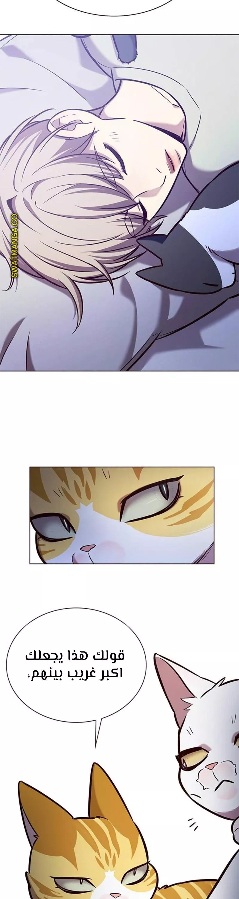 Read Eleceed AR Manga Online