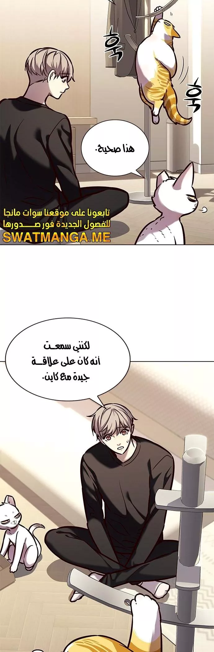 Read Eleceed AR Manga Online