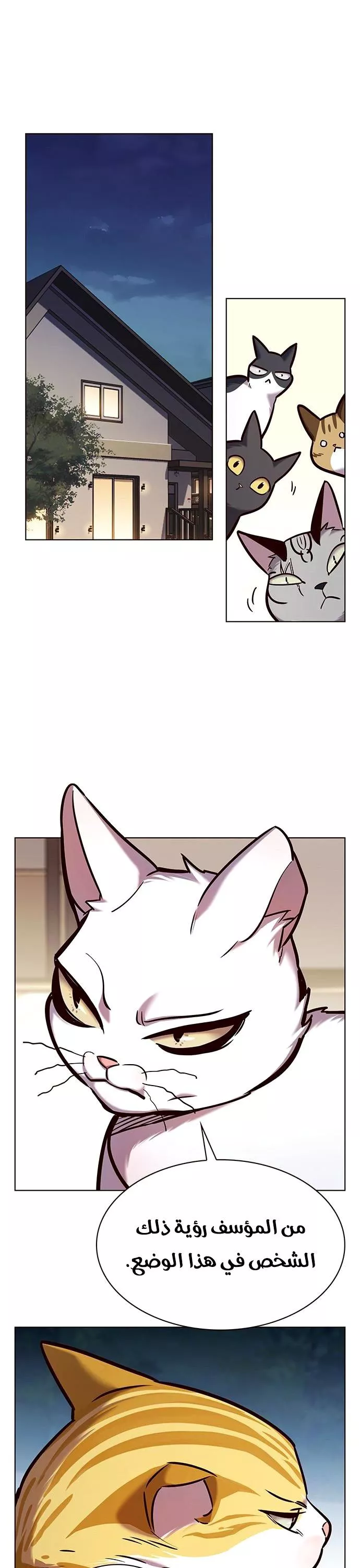 Read Eleceed AR Manga Online