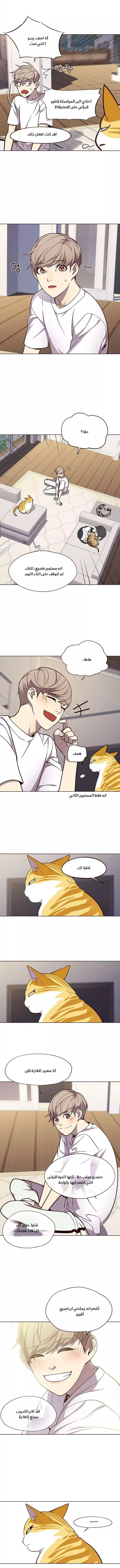 Read Eleceed AR Manga Online