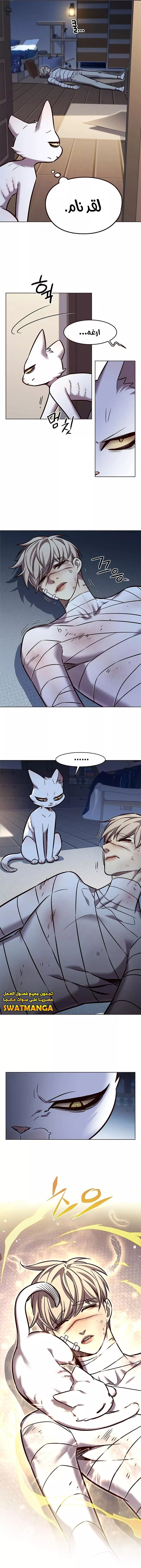 Read Eleceed AR Manga Online