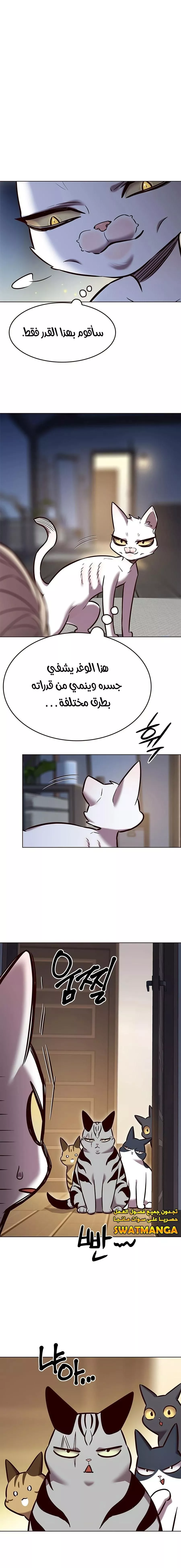 Read Eleceed AR Manga Online