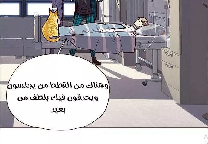 Read Eleceed AR Manga Online