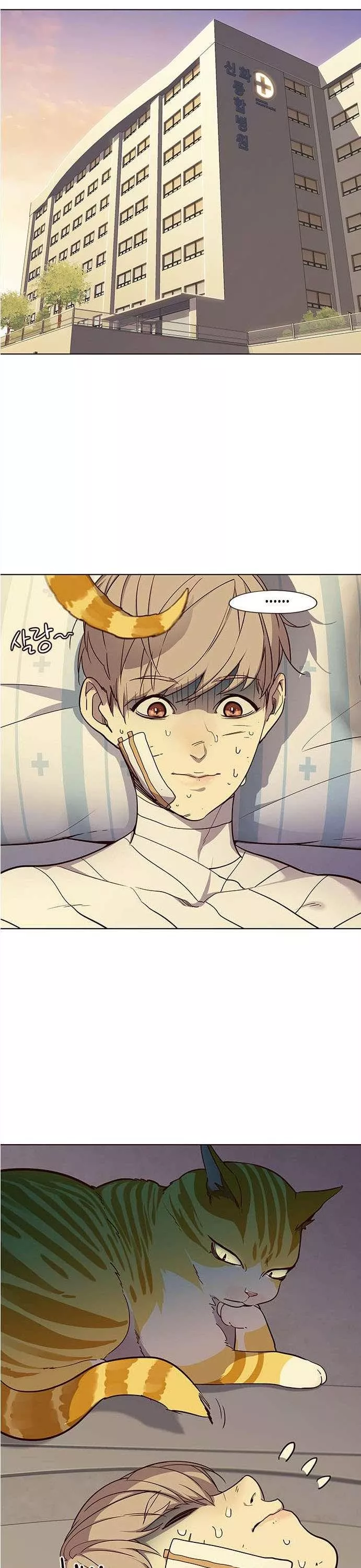 Read Eleceed AR Manga Online