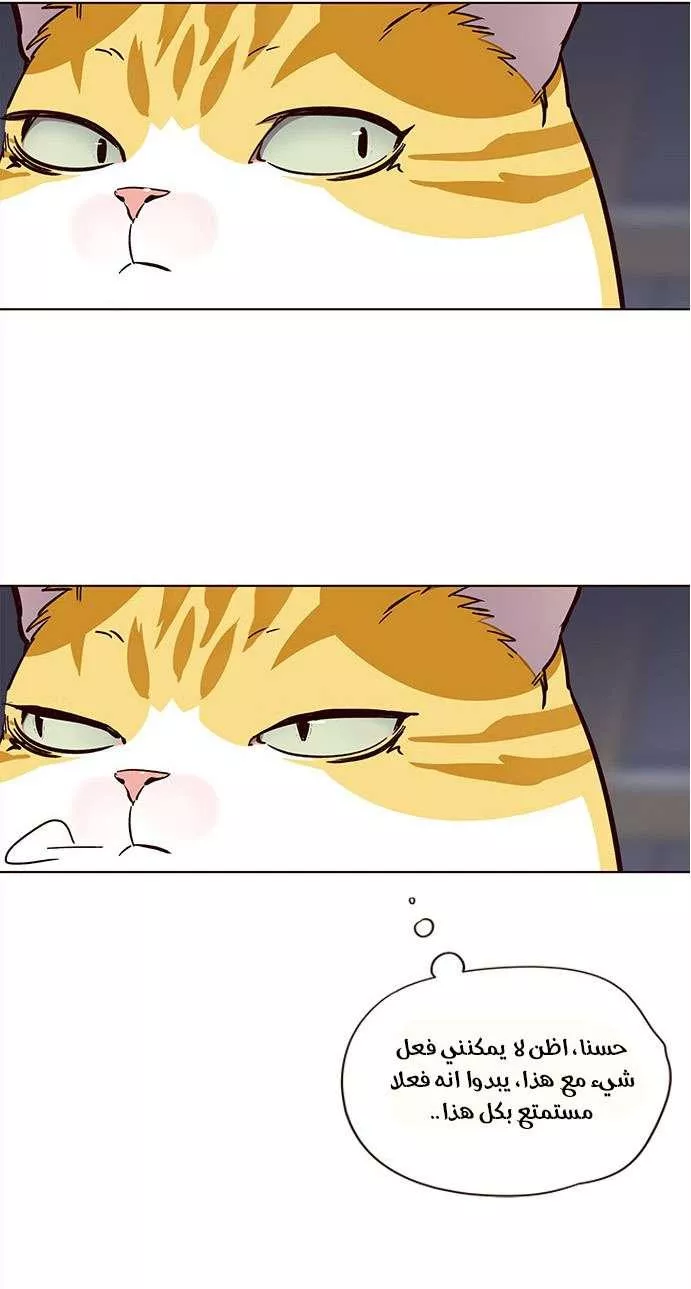 Read Eleceed AR Manga Online