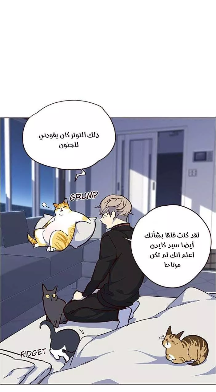 Read Eleceed AR Manga Online