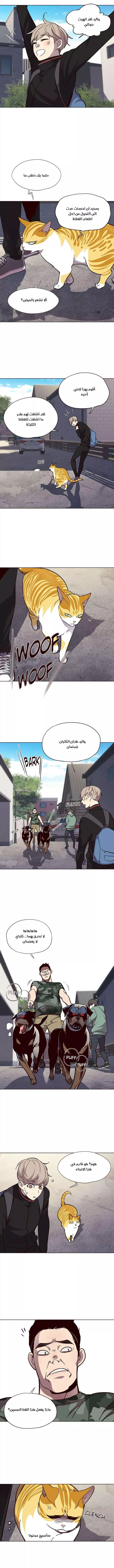 Read Eleceed AR Manga Online