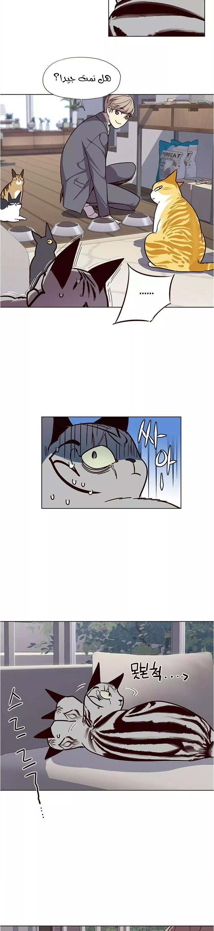 Read Eleceed AR Manga Online