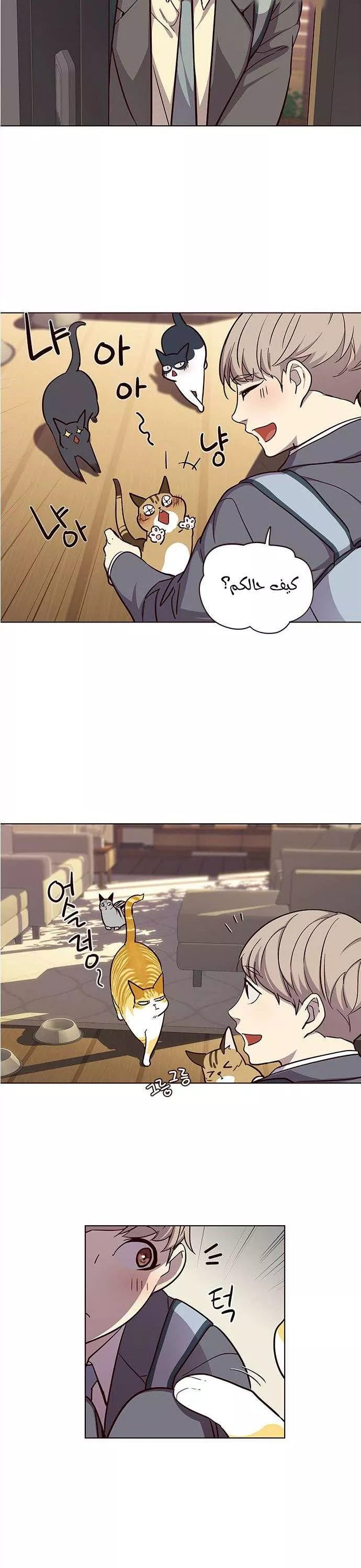 Read Eleceed AR Manga Online