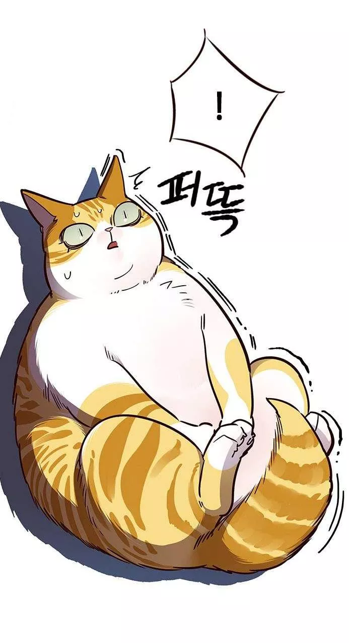 Read Eleceed AR Manga Online