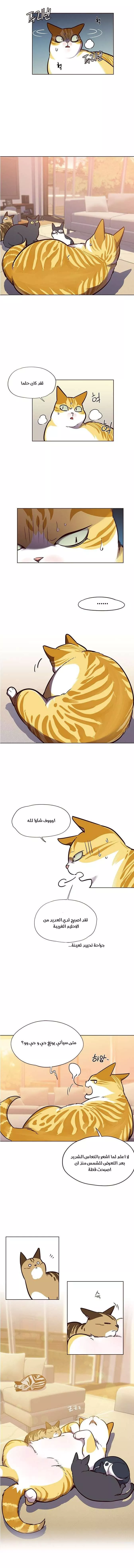 Read Eleceed AR Manga Online