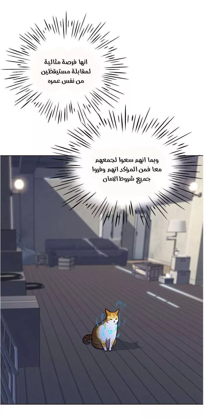 Read Eleceed AR Manga Online